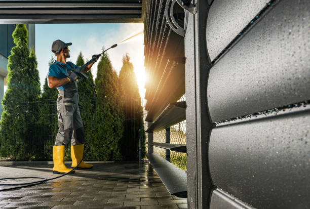 Animal Enclosure Cleaning in Mattydale, NY